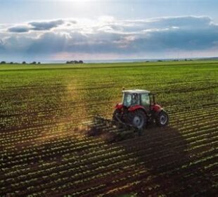 Çin'in Tarım Sektörü ve Tarım Politikaları